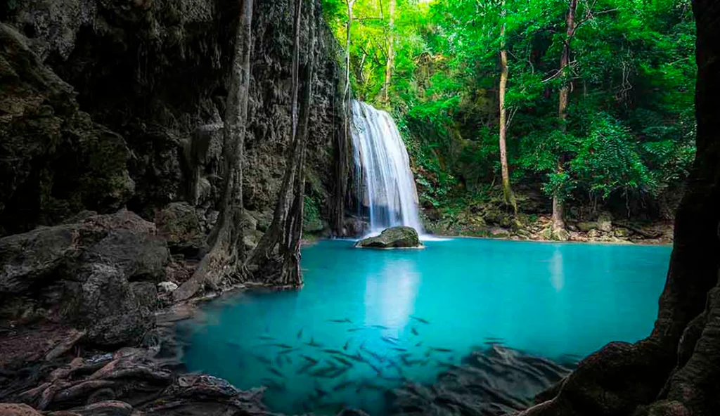 Piscina natural con caída de agua en Reserva de la Biosfera el Cielo