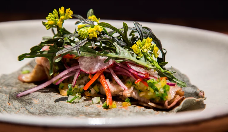 Plato gourmet del restaurant Pujol