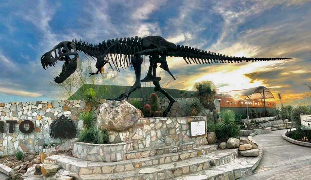 Fósil de dinosaurio al exterior del Museo del Desierto