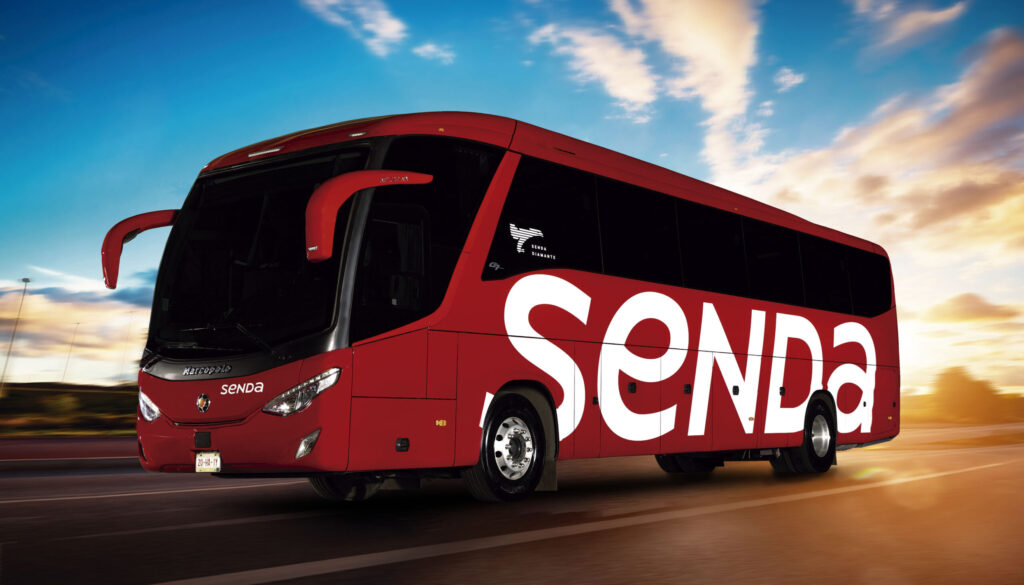 Autobus senda en carretera